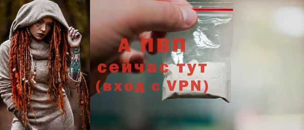 спиды Богородск