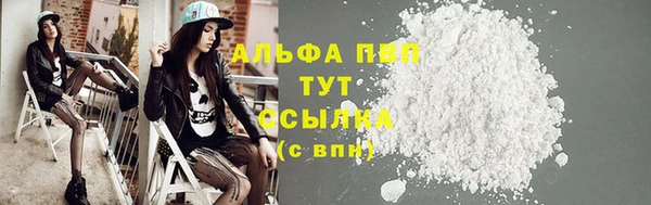 спиды Богородск