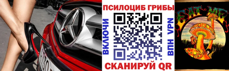 Купить закладки  Чусовой  Псилоцибиновые грибы мицелий 